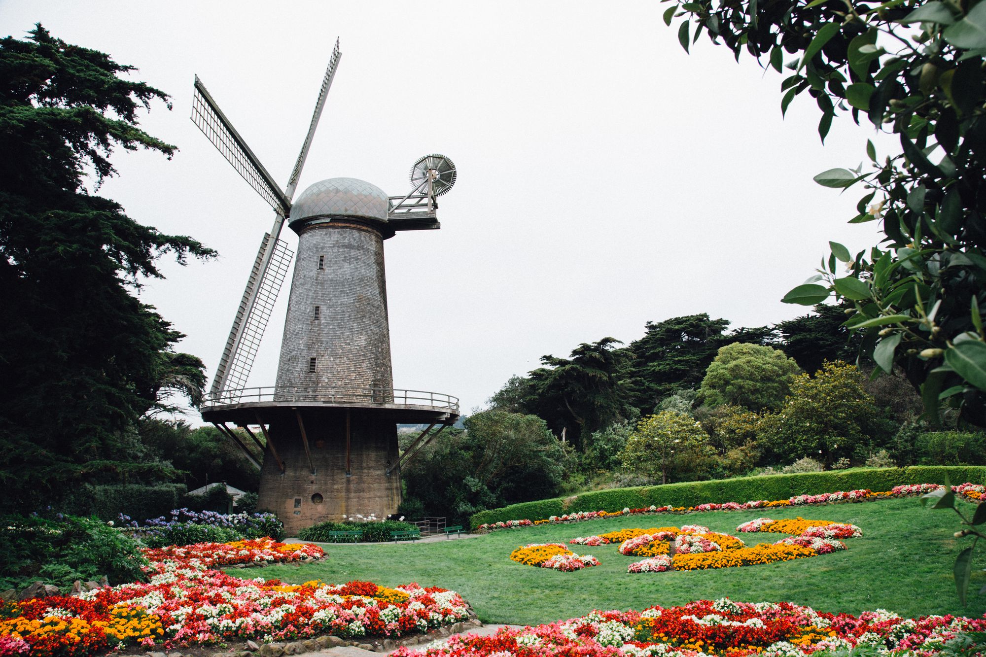 Golden Gate Park