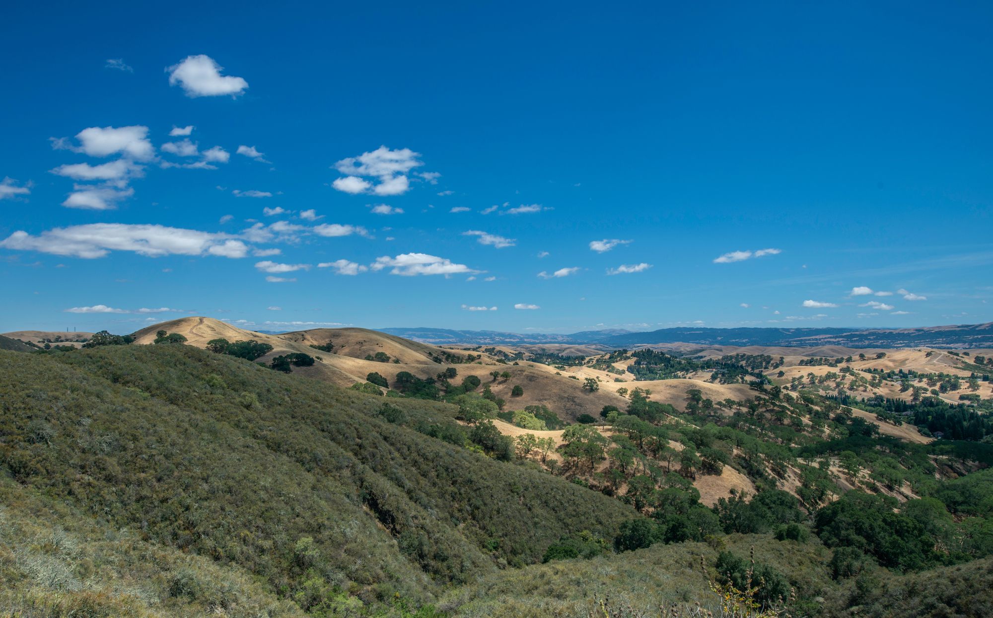 Mount Diablo