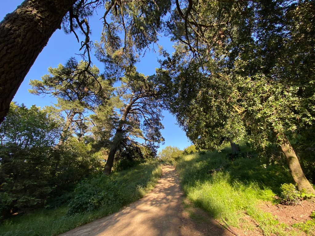 Die zweite Wanderung