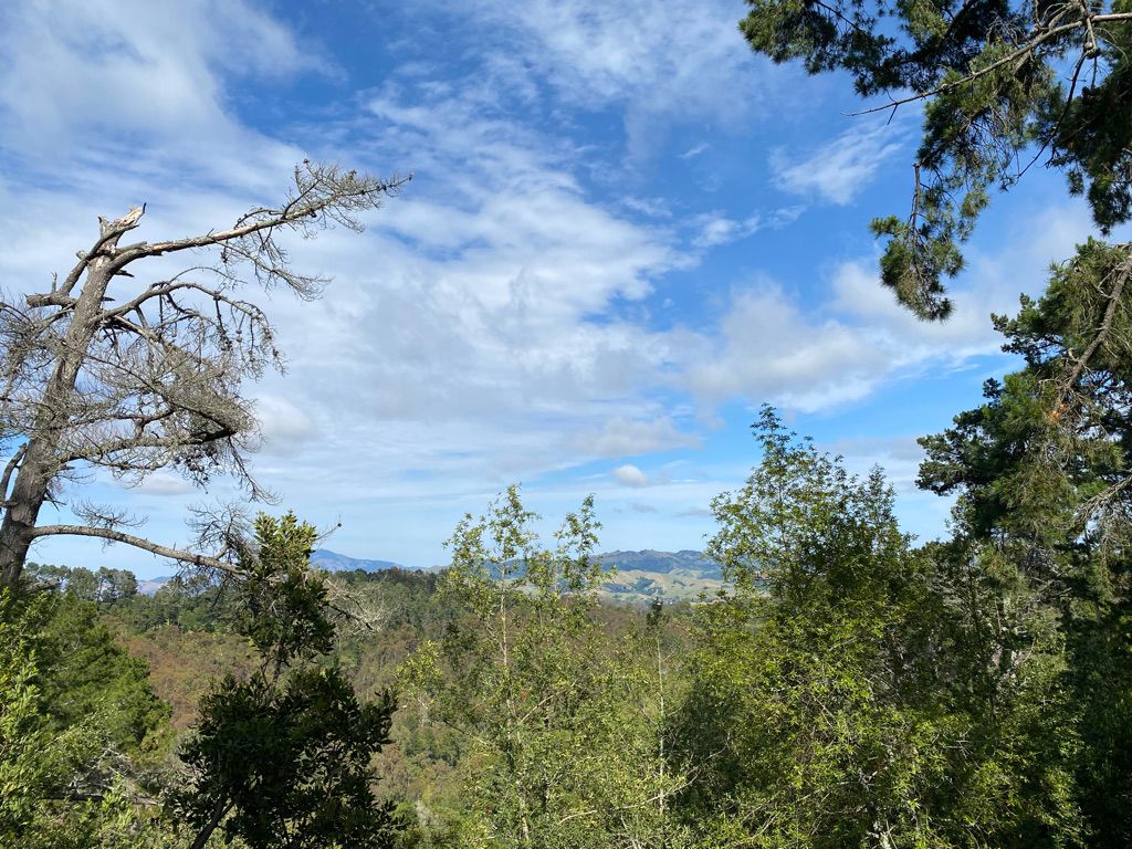 Reinhardt Redwood Regional Park