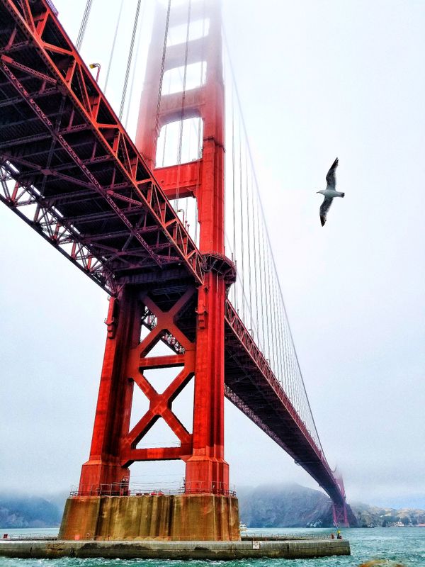 Golden Gate Bridge