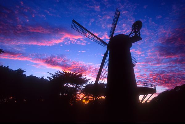 Golden Gate Park