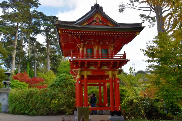 Japanischer Teegarten